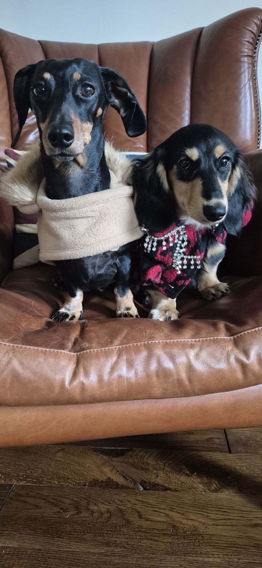 Greta and Franca